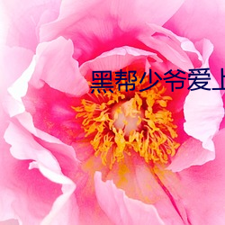 黑帮(幫)少(少)爷爱上我小说(說)泰剧中