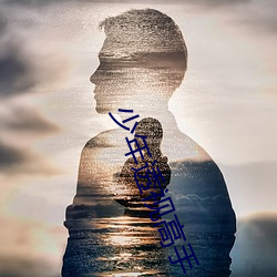 少年(年)透(透)视高手