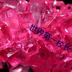 世界第一校长(長)