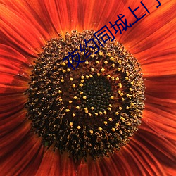 尊龙凯时人生就是搏(中国区)官方网站