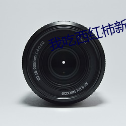 我吃西紅柿新書