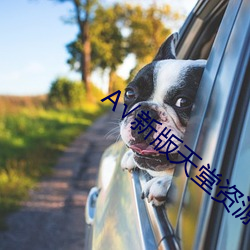 新版天堂资源中文8