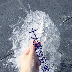 十(十)大黄(黃)台安装