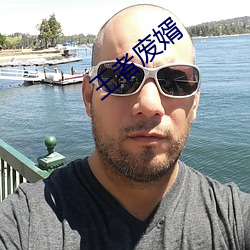 王者废婿