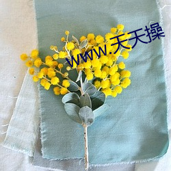 www.天天操