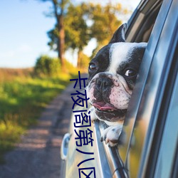 卡(kǎ)夜阁第八区