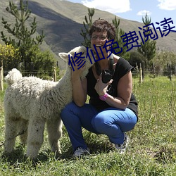 修仙免费阅读