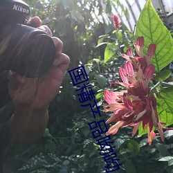 国精产品(品)呦呦