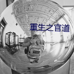 重(重)生之官道(道)