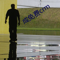 成免费crm