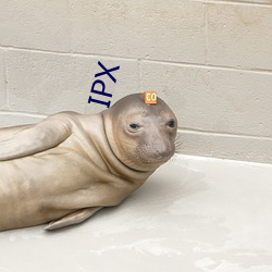 IPX