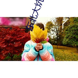 东北大炕小(小)说txt