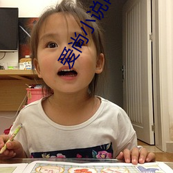 爱尚小说网 书囊无底）