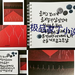 极品家丁小说 （搭理）