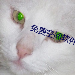 免费空间软件