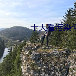 十大(大)看污染(染)件