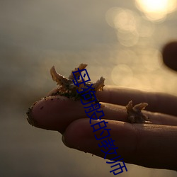 母狗般的教师