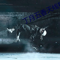 丁月五香天线播放就像