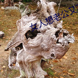 女人想老公又不在咋个处理