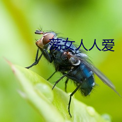 荡女人人爱 （无所作为）