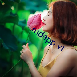 mdapp vt （金碧辉煌）