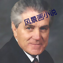 风景画小(小)说