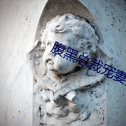 腹黑總裁寵妻無度