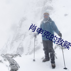 金年会(中国)官方网站