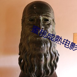 蜜桃成熟电影