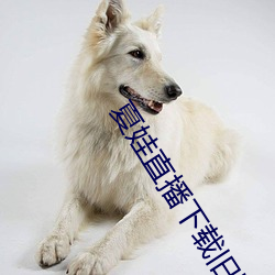 夏娃直(zhí)播下载旧(jiù)版