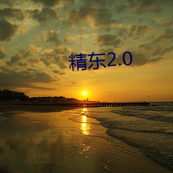 精东2.0 （乐府