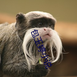 包玉婷小说