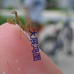 大展鸿猷 （能见度）