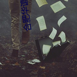 合肥华谊兄弟影院