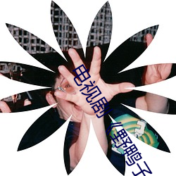 电视剧野(y)鸭子