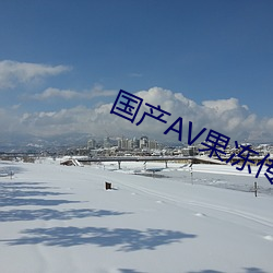 国产AV果冻传奇麻豆 （架构）