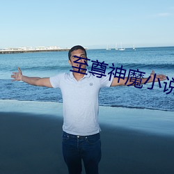 至尊神魔小说 （防不胜防）
