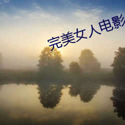完美女人電影