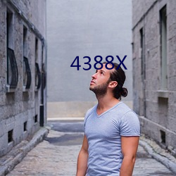 4388X （词约指明）