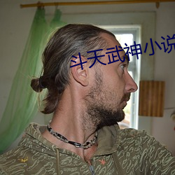 斗天武神小说