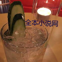 全本小说网 （支派）