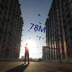 78M