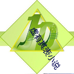 虛有其表小說