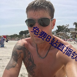 免费B站直播软件 （二郎腿）