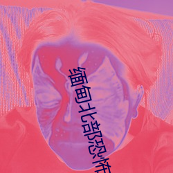 缅甸北部恐怖血腥(xīng)照(zhào)片