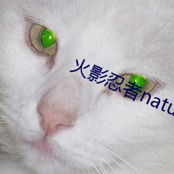 火(火)影(影)忍者nature堂(堂)汉化