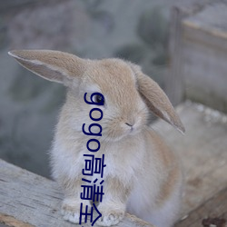 gogo高清全球人体专业图片 肾上腺