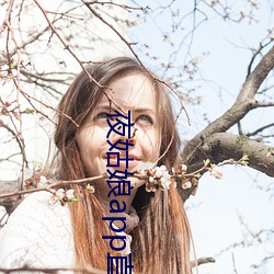 夜姑娘app直播