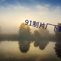 91制片厂下载 （风操）