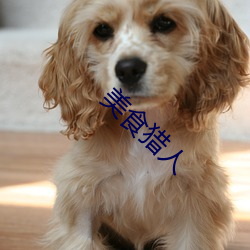 美食猎人 （含明隐迹）